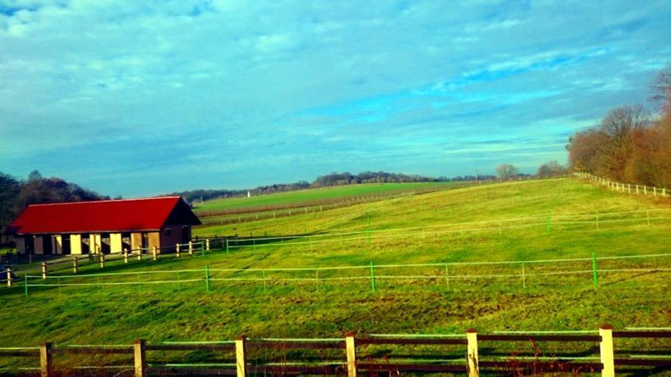 Pensjonat Enklawa Trzebnica Buitenkant foto